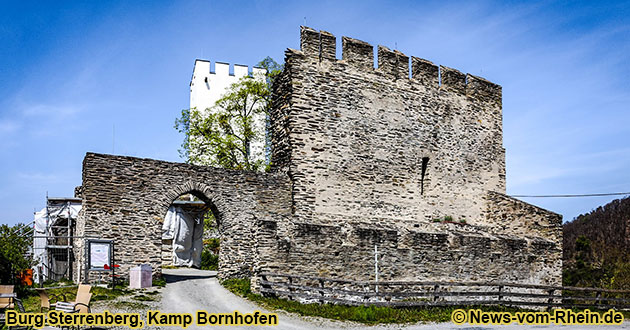 Burg Sterrenberg oberhalb von Kamp Bornhofen